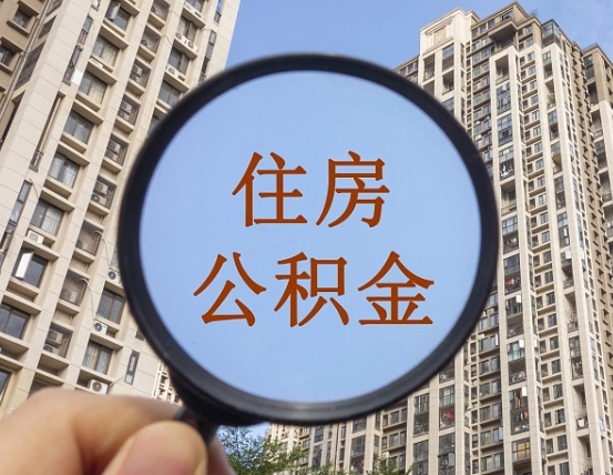 孝昌退休后查不到公积金明细了吗（退休后公积金查询不到原因）